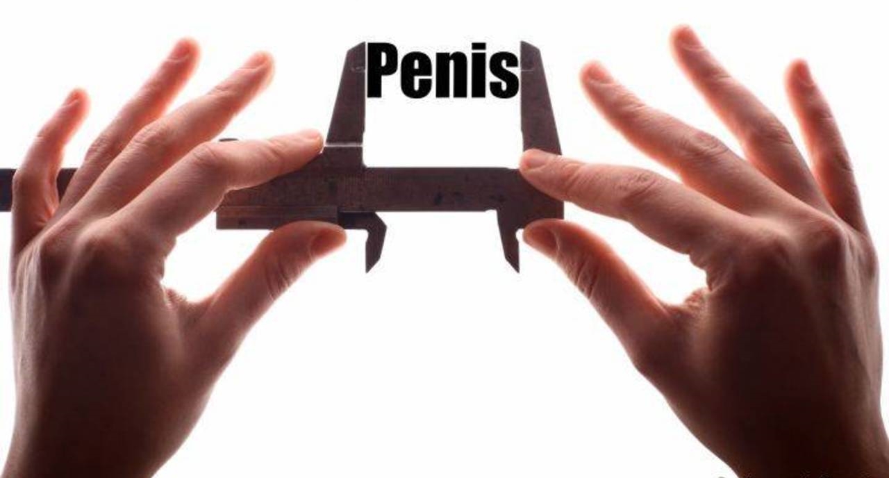 Діаметр пеніса