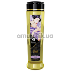Массажное масло Shunga Erotic Massage Oil Sensation Lavender - лаванда, 240 мл - Фото №1