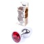 Анальная пробка со красным кристаллом Exclusivity Jewellery Silver Plug, серебряная - Фото №7