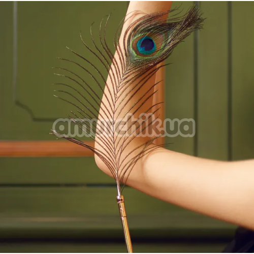 Набір пір'їнок для пестощів Lockink Natural Peacock Flirting Feather Tickler, райдужний