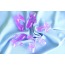 Насадка на универсальный вибромассажер Leten G Spot Vibration Massager Headgear 3, фиолетовая - Фото №4