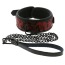 Ошейник с поводком Blaze Deluxe Collar and Leash, красно-черный - Фото №1