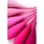 Набор из 6 вагинальных шариков Eromantica K-Rose, розовый - Фото №8