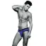Трусы мужские Envy Bad Boy Brief, синие - Фото №1