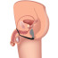 Стимулятор простаты с эрекционным кольцом Master Series Prostatic Play Explorer II Prostate Stimulator And Cock Ring, черный - Фото №3