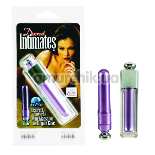Клиторальный вибратор Discreet Intimates Massager, фиолетовый