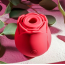 Симулятор орального секса для женщин Eve's Ravishing Rose Clit Pleaser, красный - Фото №15