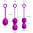 Набор вагинальных шариков Foxshow Kegel Balls Set, фиолетовый - Фото №5