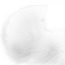 Анальна пробка з білим хвостом Zcz, срібна - Фото №9