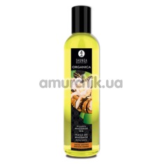 Масажна олія Shunga Massage Oil Almond Sweetness - мигдаль, 250 мл - Фото №1
