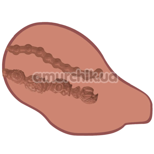 Искусственная вагина и анус с вибрацией Bangers Big Ass Banger, коричневая