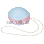 Вагінальна кулька Amor Gym Balls Single, блакитно-рожева - Фото №1