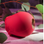 Симулятор орального секса для женщин Eve's Ravishing Rose Clit Pleaser, красный - Фото №13
