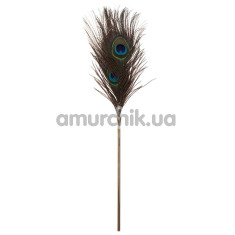 Перышко для ласк Taboom Peacock Tickler, радужное - Фото №1