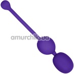 Вагинальные шарики с вибрацией Rechargeable Dual Kegel, фиолетовые - Фото №1