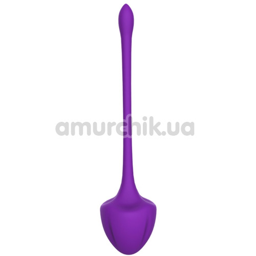 Набір вагінальних кульок Boss Series Purple Virgo, різнокольоровий
