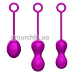 Набор вагинальных шариков Foxshow Kegel Balls Set, фиолетовый - Фото №1
