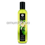 Массажное масло Shunga Erotic Massage Oil Exotic Green Tea - экзотический зеленый чай, 250 мл - Фото №1