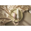 Симулятор орального секса для женщин с пульсацией Kistoy Cathy Plus, розовый - Фото №13