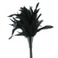 Перышко для ласк Frisky Feather Duster, черное - Фото №6