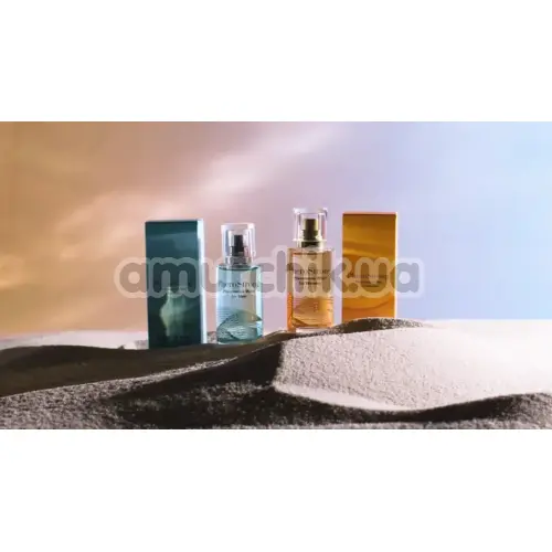 Духи с феромонами PheroStrong Pheromone Wind для мужчин, 50 мл