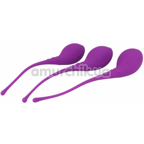 Набор вагинальных шариков Pleasure Balls & Eggs Kegel Exercise Set, фиолетовый