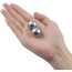 Вагинальные шарики Lovetoy Passion Ball, серебряные - Фото №2