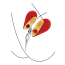 Симулятор орального сексу для жінок Xocoon Heartbreaker 2-in-1 Stimulator, червоний - Фото №8