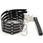 Ошейник с поводком DS Fetish Collar With Chain Leash, черный - Фото №1