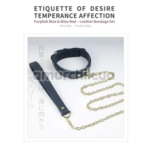 Ошейник с поводком Roomfun Leather Collar With Leash, синий