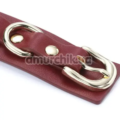 Нашийник з повідцем Roomfun Leather Collar With Leash, бордовий