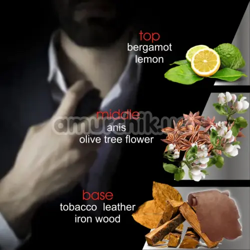 Духи с феромонами Alfamarker Power, 20 мл