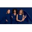 Симулятор орального секса для женщин Womanizer Premium, синий - Фото №15