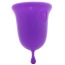 Набор из 2 менструальных чаш Jimmyjane Intimate Care Menstrual Cups, фиолетовый - Фото №6