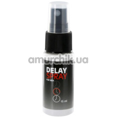 Спрей-пролонгатор Delay Spray For Men, 15 мл - Фото №1