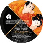 Збуджуючий крем Shunga Dragon Virility Cream, 3 мл - Фото №1