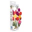 Вибратор Wild Tulips - Фото №2