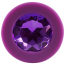 Анальна пробка з фіолетовим кристалом Colorful Joy Jewel Purple Plug Medium, фіолетова - Фото №3