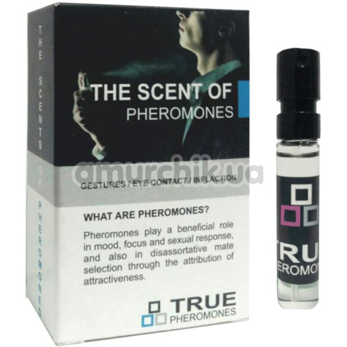Духи с феромонами The Scent Of Pheromones для мужчин, 2.4 мл