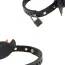 Нашийник з електростимуляцією Lockink Sevanda QIUI Little Devil Shock Collar, чорний - Фото №6