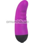 Вибратор Colorful Joy Purple Touch Vibe, фиолетовый - Фото №1