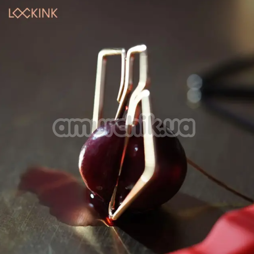 Зажимы для сосков Lockink Minimalism Metal Nipple Clamps, серебряные
