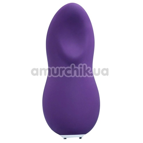 Вібратор We-Vibe Touch Purple (ві вайб тач пурпурний) - Фото №1