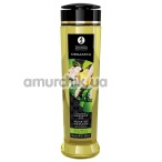 Масажна олія Shunga Organica Kissable Massage Oil Exotic Green Tea - зелений чай, 240 мл - Фото №1