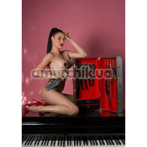 Бондажный набор Taboom Desires Masterpiece Bondage Case 11 PCS, черный