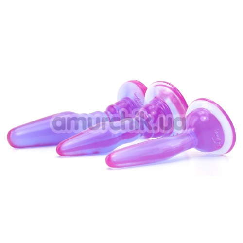 Набор из 3 анальных пробок Wendy Williams Anal Trainer Kit, фиолетовый