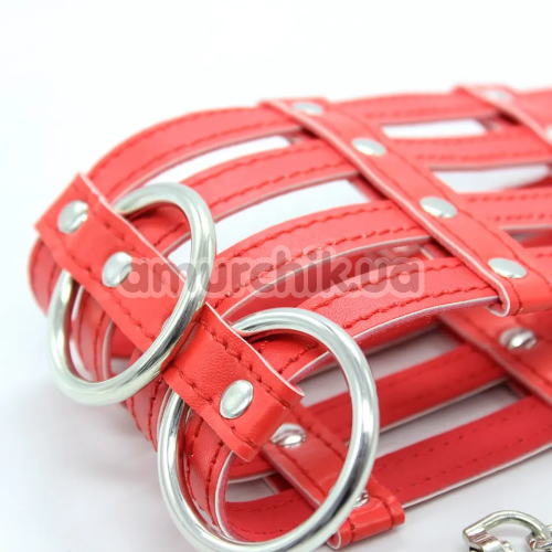 Ошейник с поводком DS Fetish Collar With Chain Leash, красный
