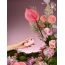 Симулятор орального секса для женщин Qingnan No.0 Clitoral Stimulator, розовый - Фото №13