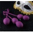 Вагинальные шарики Svakom Nova Ball, фиолетовые - Фото №19