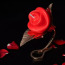 Набор свечей Lockink Flaming Rose - Фото №9